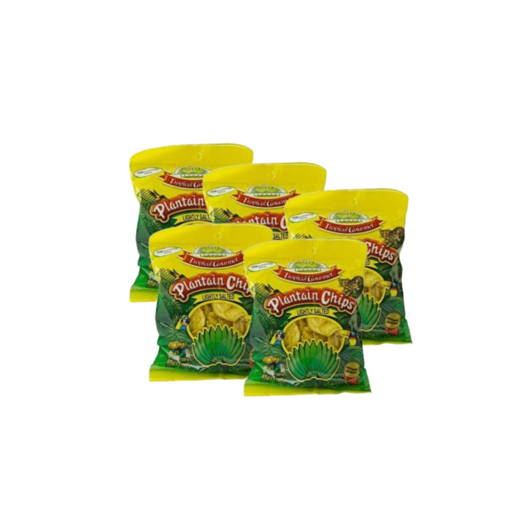 Plantain Chips – 5-Pack  lightly salted (5 × 85 g)