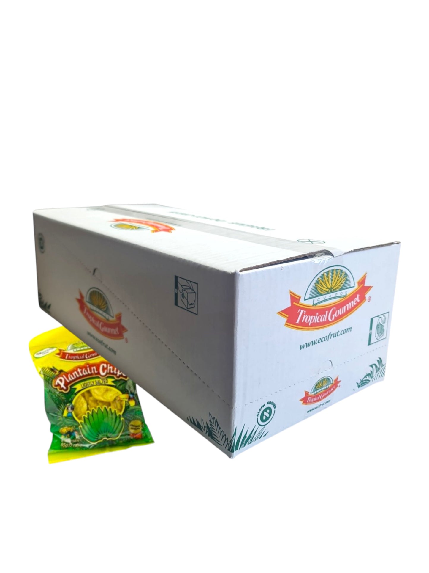Tropical Gourmet Plantain Chips Lightly Salted - doos 20 x 85 g